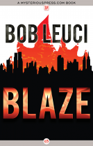 book cover for Blaze