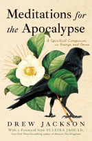book cover for Meditations for the Apocalypse