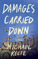 book cover for Damages Carried Down