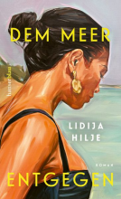 Buchcover für Dem Meer entgegen