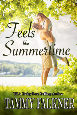 book cover for Feels like Summertime