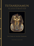book cover for Tutankhamun Illustrated