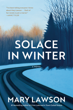 book cover for Solace in Winter