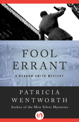 book cover for Fool Errant