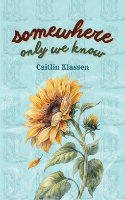 book cover for Somewhere Only We Know
