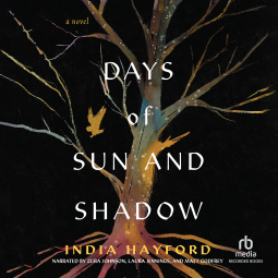 book cover for Days of Sun and Shadow