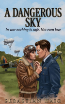 book cover for A Dangerous Sky