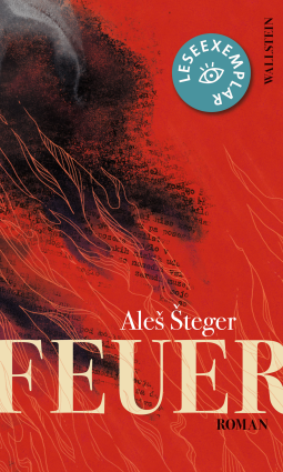 Buchcover für Feuer