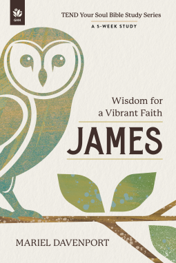 book cover for James