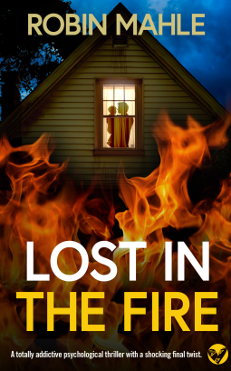 book cover for Lost in the Fire