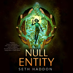 book cover for Null Entity