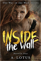 book cover for INSIDE the Wall