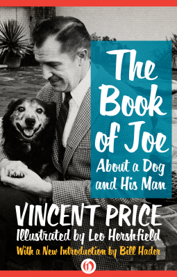 book cover for The Book of Joe