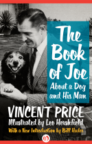 book cover for The Book of Joe