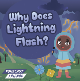 book cover for Why Does Lightning Flash?