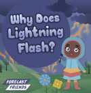 book cover for Why Does Lightning Flash?