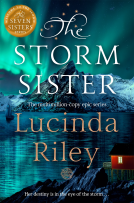 book cover for The Storm Sister