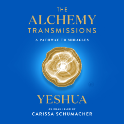 book cover for The Alchemy Transmissions