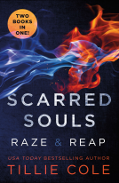 book cover for Scarred Souls