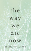 book cover for The Way We Die Now