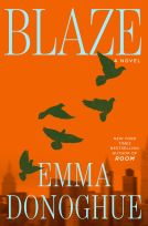 book cover for Blaze