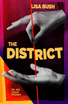 book cover for The District