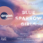 Buchcover für Blue Sparrow Girls – The Secrets Between You and Me