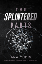 book cover for The Splintered Parts