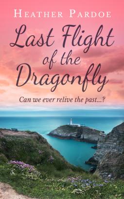 book cover for The Last Flight of the Dragonfly
