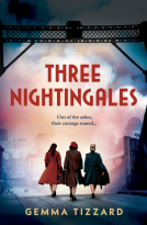book cover for Three Nightingales
