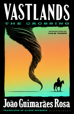book cover for Vastlands