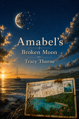 book cover for Amabel's Broken Moon