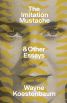 book cover for The Imitation Mustache
