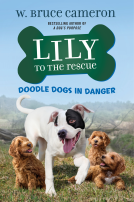 book cover for Lily to the Rescue: Doodle Dogs in Danger
