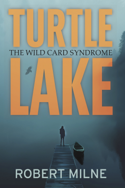 book cover for Turtle Lake