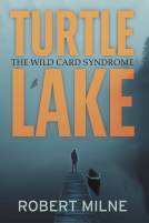 book cover for Turtle Lake
