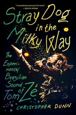 book cover for Stray Dog in the Milky Way
