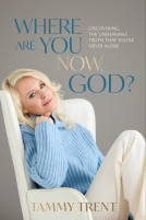 book cover for Where Are You Now, God?
