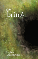 book cover for The Brink