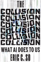 book cover for The Collision