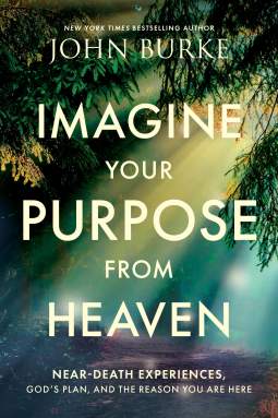 book cover for Imagine Your Purpose from Heaven