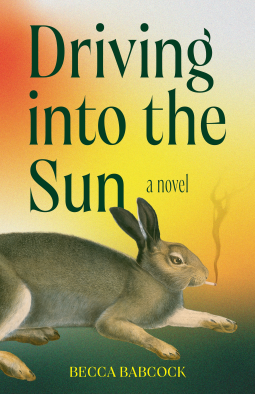 book cover for Driving into the Sun