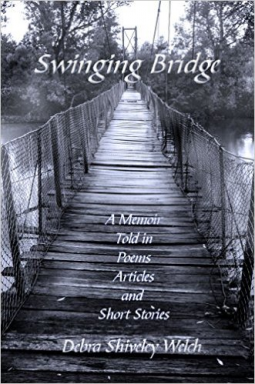 book cover for Swinging Bridge