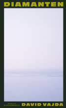 Buchcover für Diamanten
