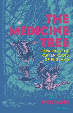 book cover for The Medicine Tree