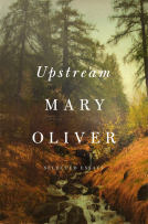 book cover for Upstream