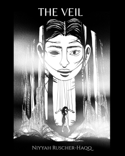 book cover for The Veil