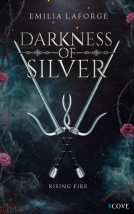 Buchcover für Darkness of Silver 2: Rising Fire