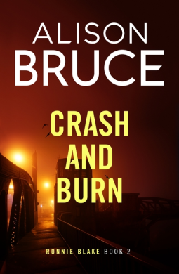 book cover for Crash and Burn