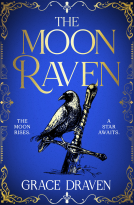 book cover for The Moon Raven